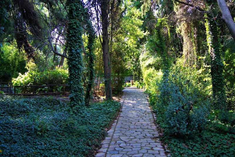 Diomidous Botanical Garden in Athens